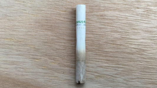 プルームエスのたばこスティック