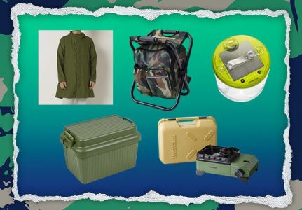 ワイルド・エディションの特典公式画像