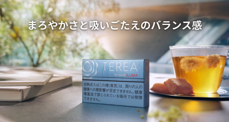 テリア バランスド レギュラーのイメージ画像