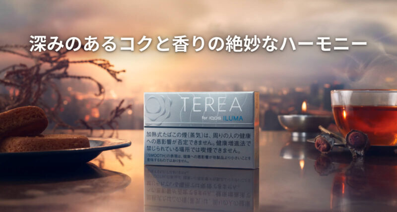 テリア スムース レギュラーのイメージ画像