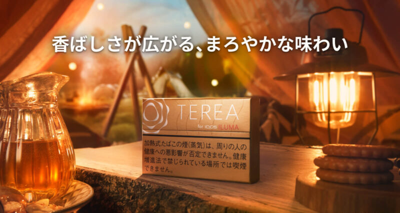 テリア ウォーム レギュラーのイメージ画像