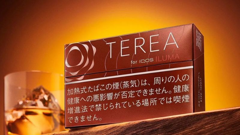 テリア ボールド レギュラーのイメージ画像