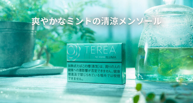 テリア ミントのイメージ画像