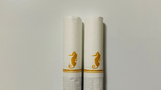 ウルマのフィルター