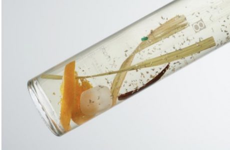 #0616 Mint Cold Base