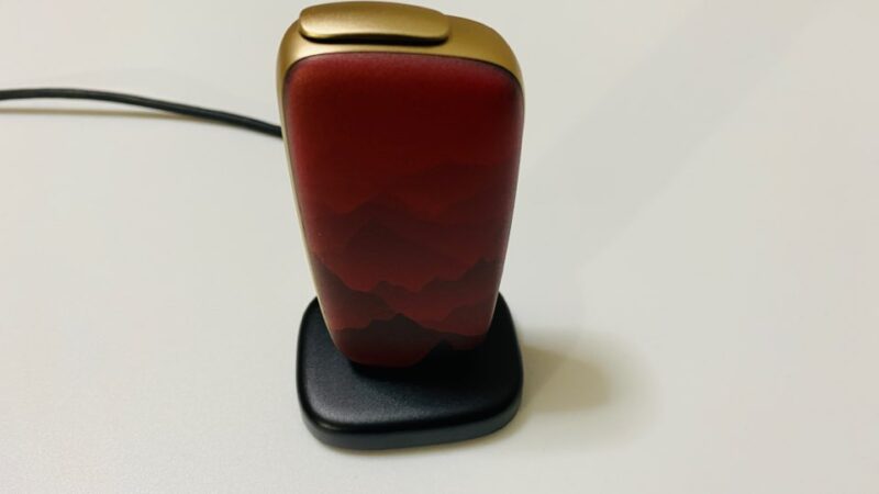 ドッキングステーションとプルームX本体