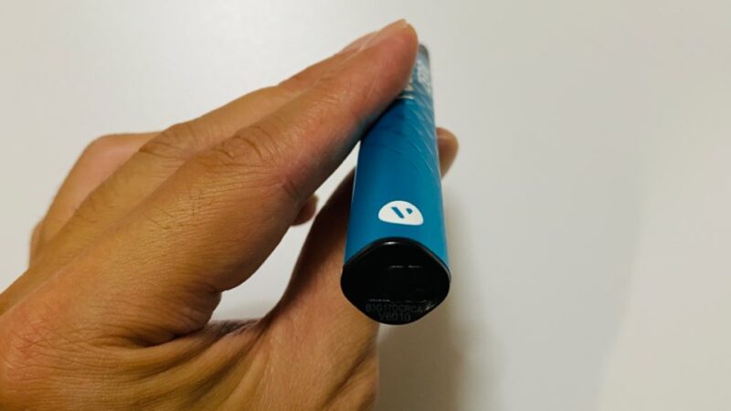 ビューズゴー700のデバイス本体