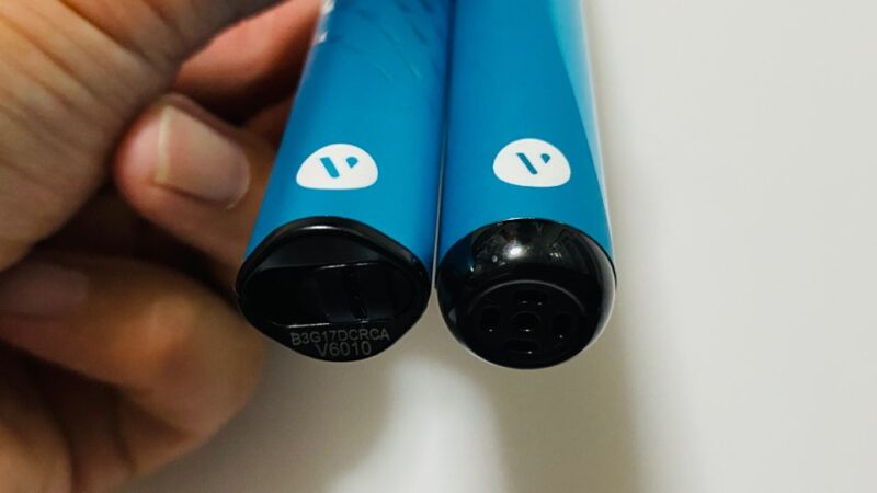 ビューズゴー700とビューズゴーのデバイス本体