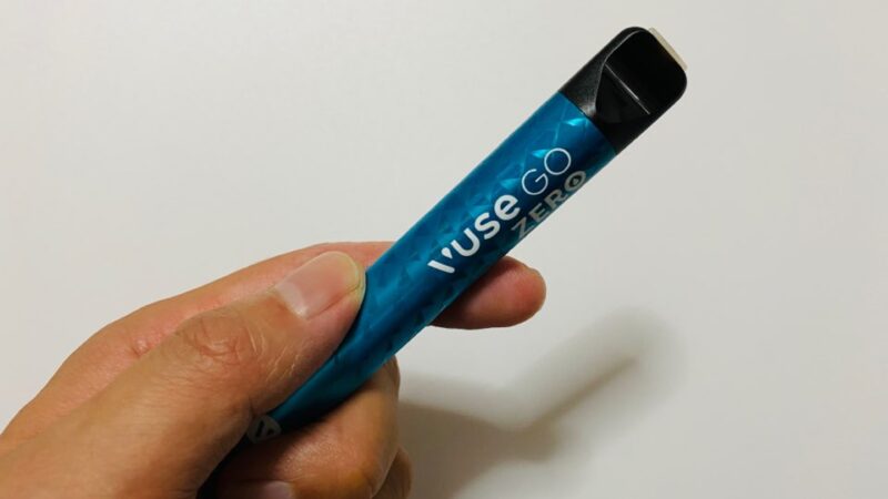 ビューズゴー700のデバイス本体