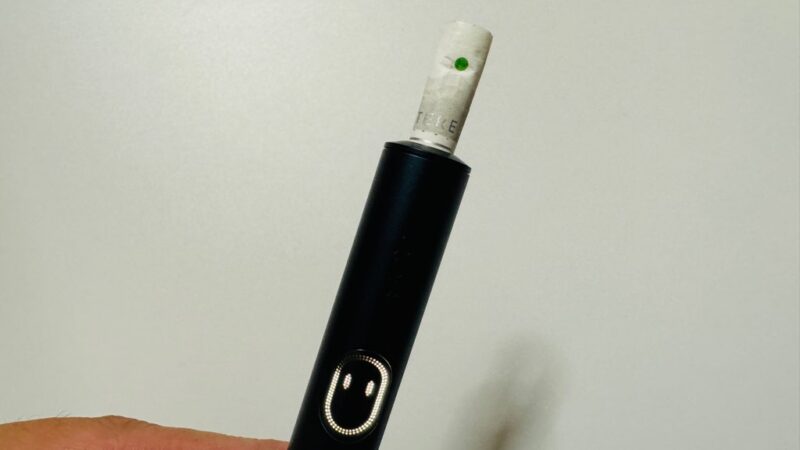 テリア ハイブリッド パール グリーン フルーツのたばこスティック