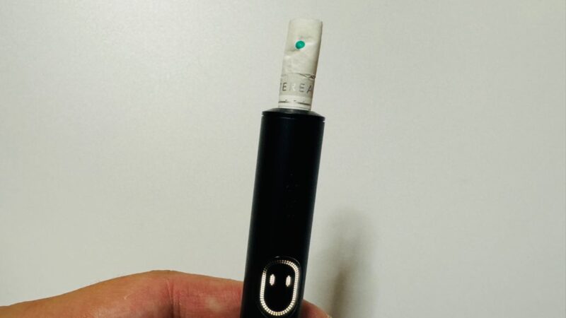 テリア ハイブリッド パール スムース ミントのたばこスティック