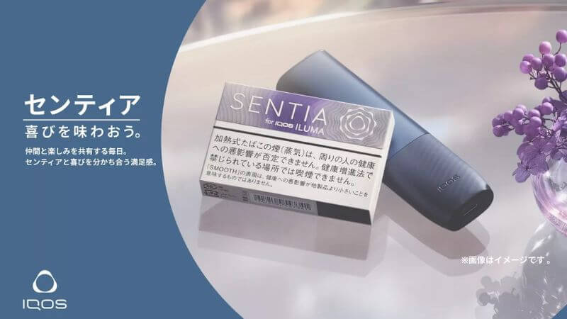 センティア スムース バイオレットの発売スケジュール