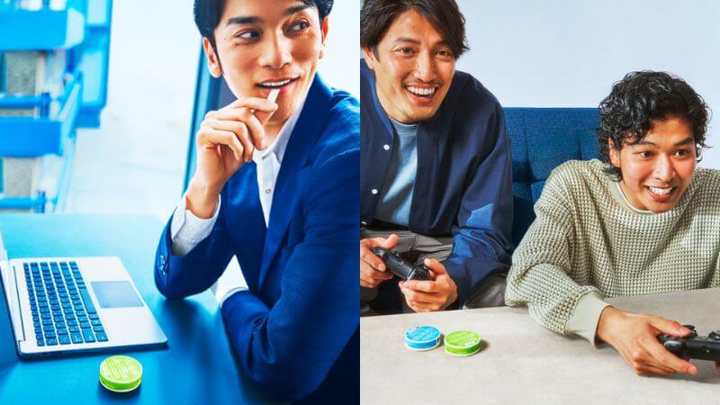ZYN（ジン）の特徴