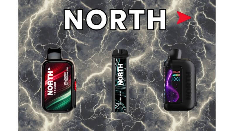 North(ノース)の公式画像