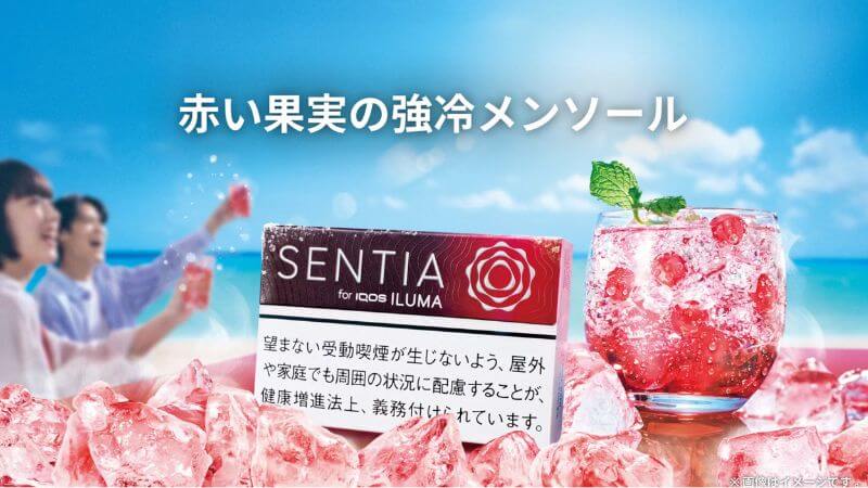 センティア アイシー レッドの特徴