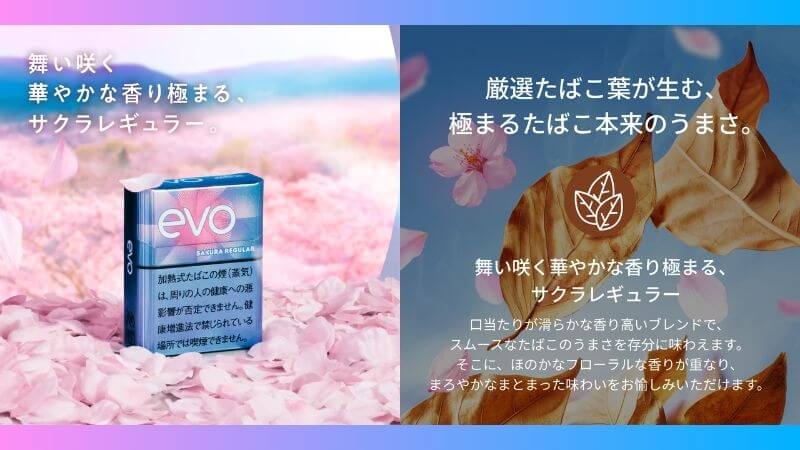 エボ・サクラ・レギュラーの特徴