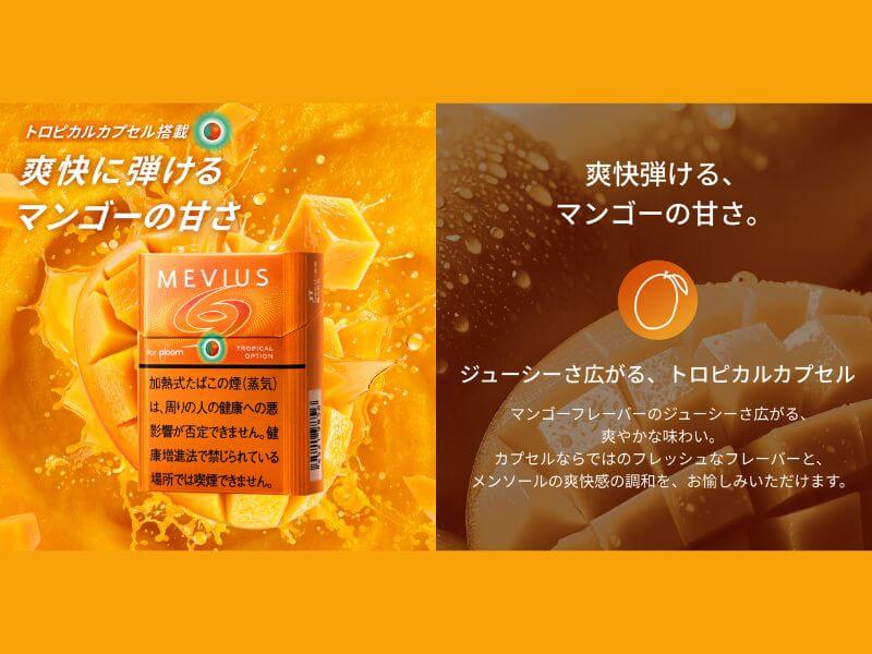 メビウス・トロピカル・オプションの発売日と販売場所